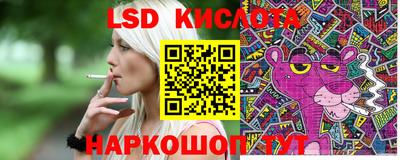 сатива Краснодар