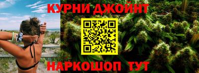 сатива Краснодар