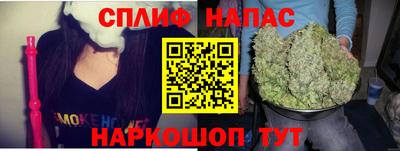 сатива Краснодар