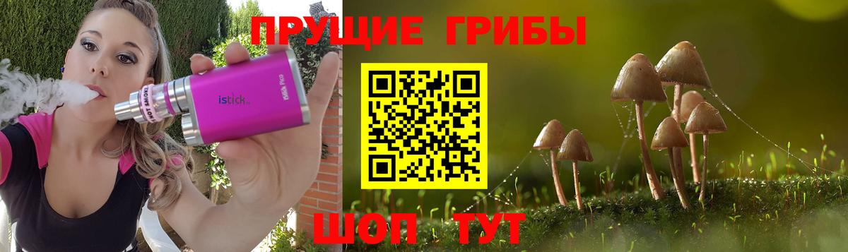 Псилоцибиновые грибы GOLDEN TEACHER Каменск-Уральский